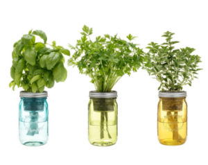 Screen Shot 2015-11-30 at 8.30.15 PM