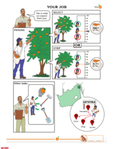 Screen Shot 2016-09-05 at 2.55.44 AM